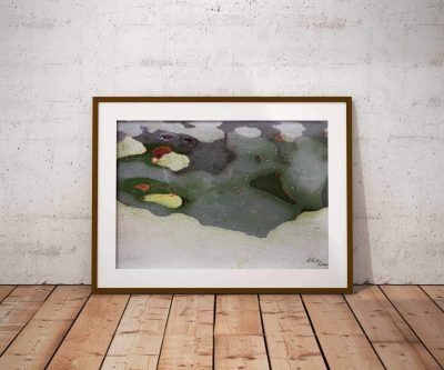 Naturaleza Fotografía. Venta de arte Naturaleza Fotografía. Venta de arte